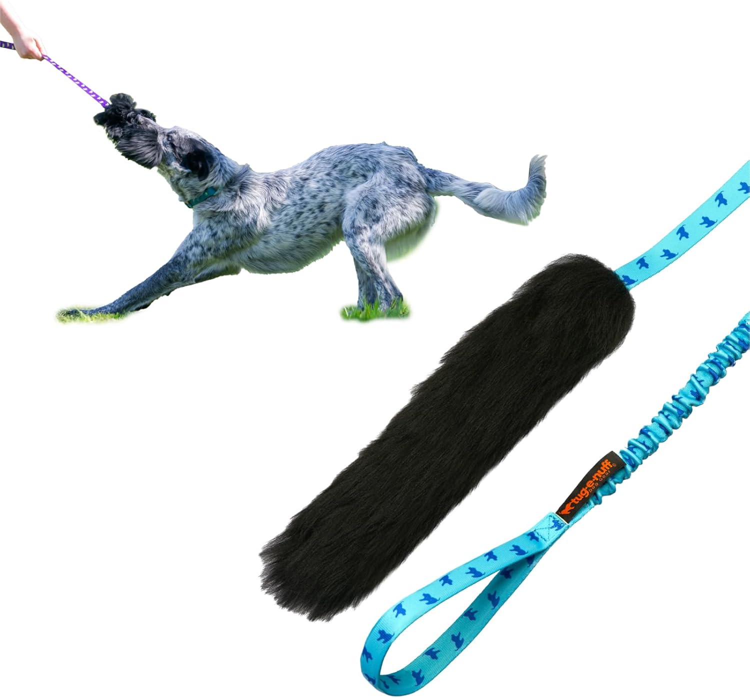 希少 】ニホンザルの頭骨（スカル） Yahoo!オークション - サルの頭骨