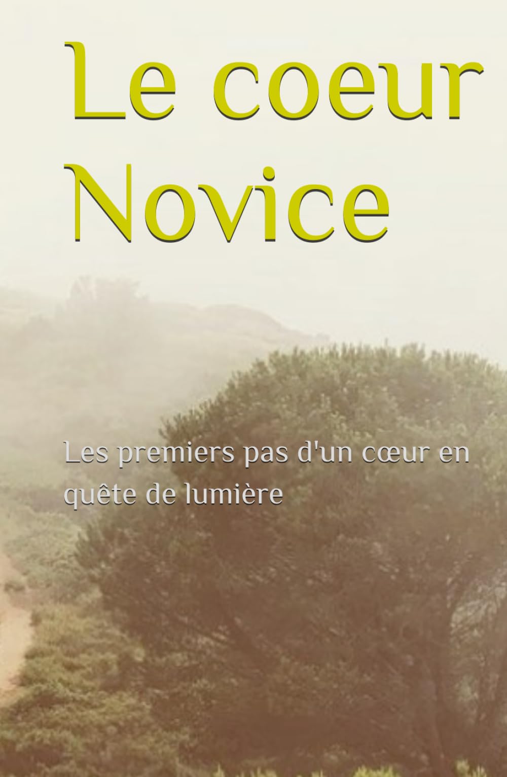 Le coeur Novice: Les premiers pas d'un cœur en quête de lumière (La Trilogie du Cœur)