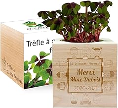 Ecocube gravé Merci Maîtresse (Trèfle à 4 feuilles)