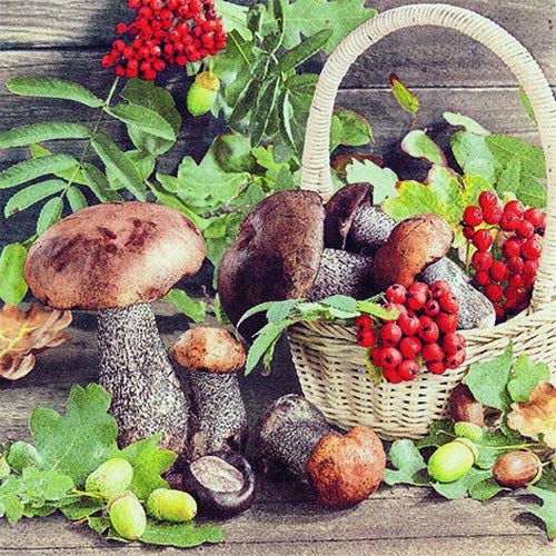 20 Servietten 'Herbstpilze Aus Dem Wald' – 33x33 Cm, 3-lagig Für Tischdeko Oder Serviettentechnik