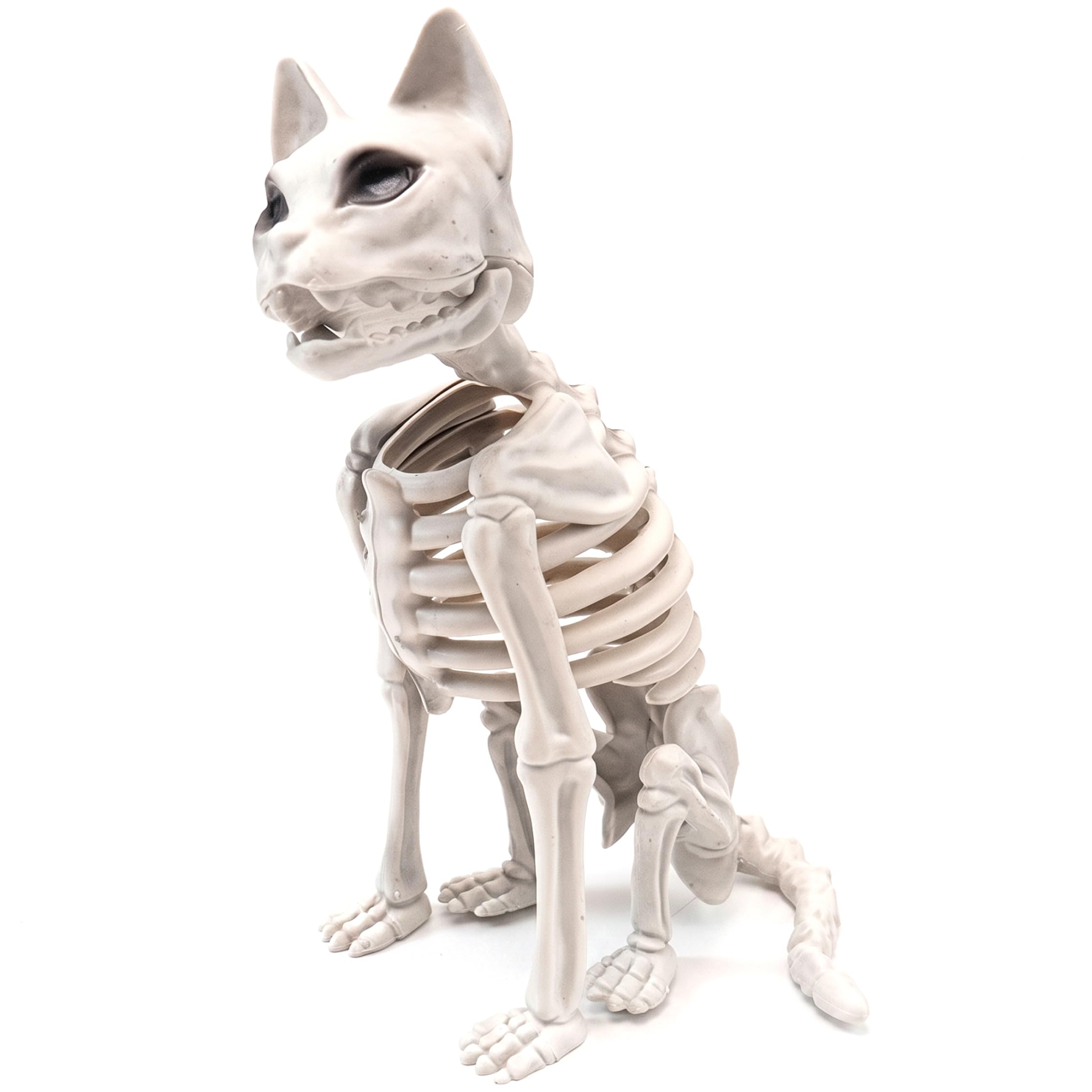 Grtheenumb Cat Skeleton, Halloween Skeleton, Sitting Cat Decor, Realistic Animal Skeletons Prop - Beige, 5.91x9.45x13.39 Inch