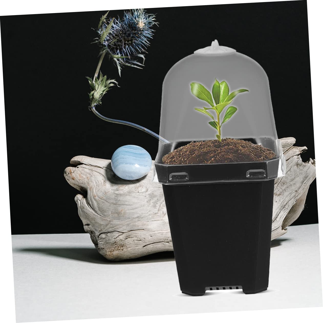 Toyvian Macetas De Plástico para Jardinería 12 Juegos Agujeros De Drenaje para Sembrar y Esquejes