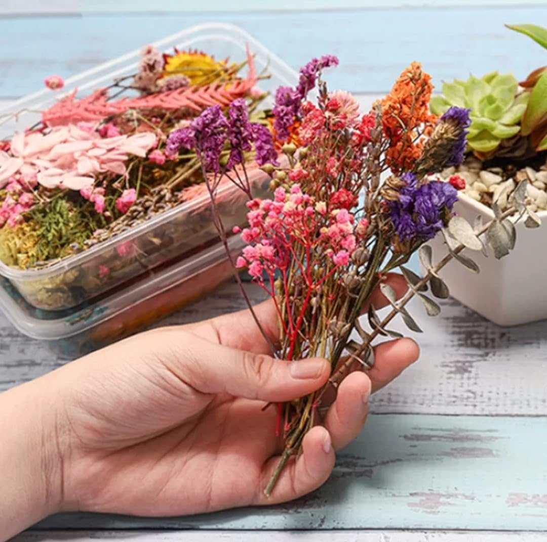VRB DecTM 1 Box Natural Real Dried Flowers for Art Craft/rasin Art kit - Mixed & Multicolor for Soap, Artificial Candles,Scrapbook, DIY, Resin Tray Jewellery, Pendant (1 Box - Multicolor) 2