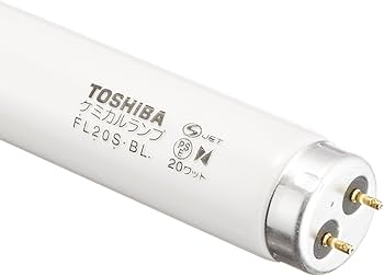 61ycDpOBWXL._AC_UF350,