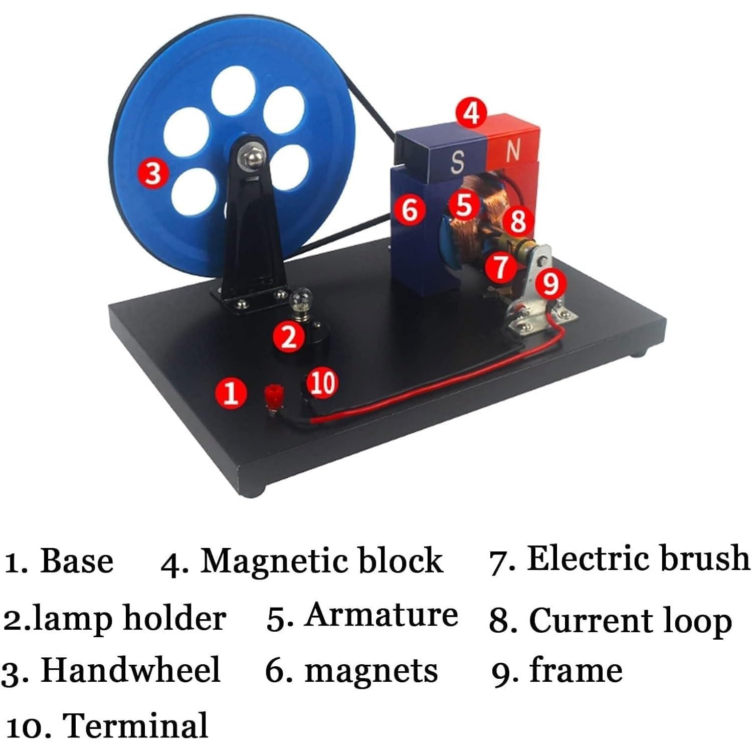 Generatori a manovella AC & DC, strumento didattico di elettricità elettromagnetica per esperimenti scientifici in aula scolastica
