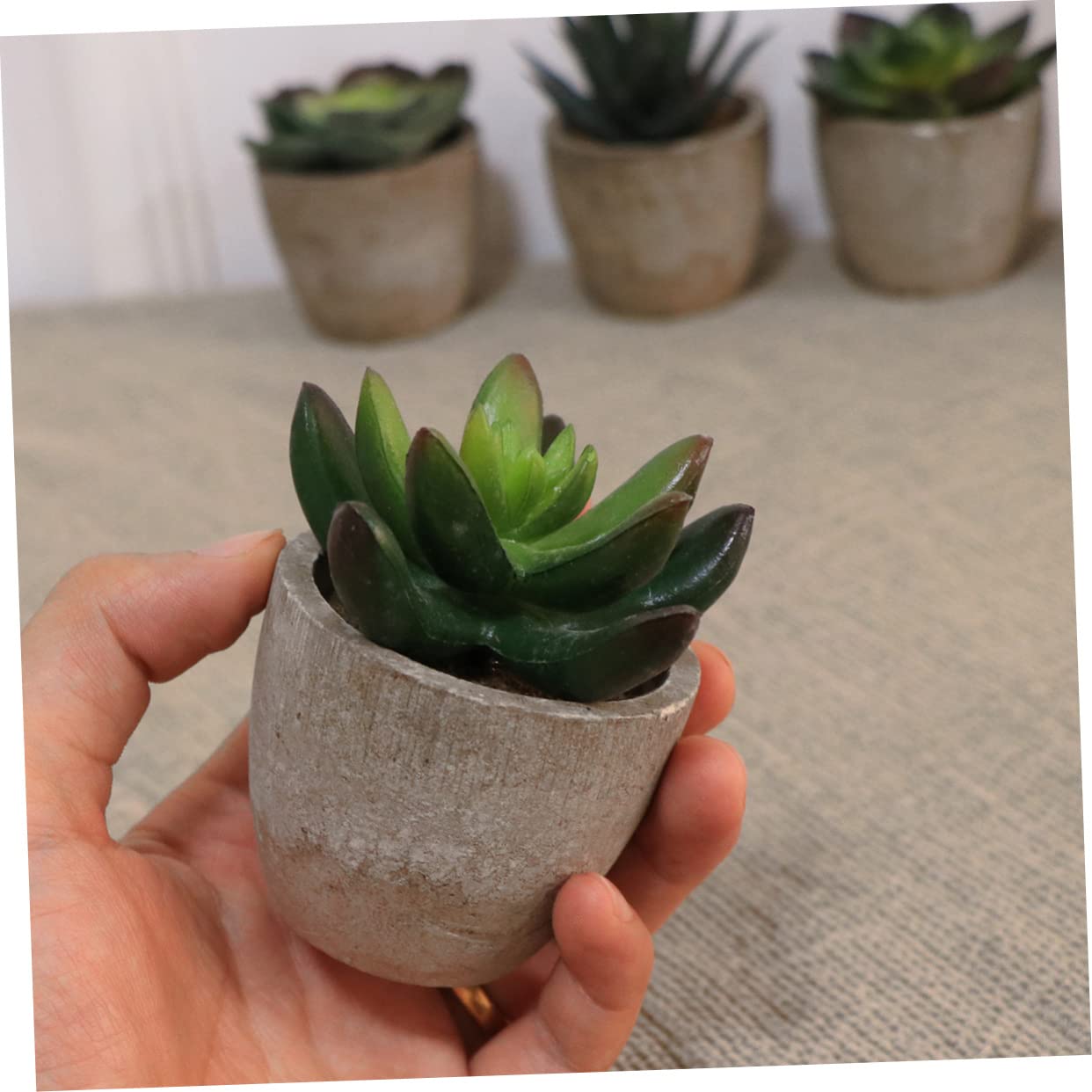 5 Stück Künstliche Sukkulenten Bonsai im Retro Topf aus Kunststoff
