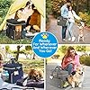 Pmpete-Dog-Travel-Bag-Airline-Approved-Week-AwayOvernight-Accessories-Tote-Organizer-with-Multi-Function-PocketsPet-Travel-Set-for-Dog-and-Cat2-Collapsible-Dog-Travel-BowlsBlack Pet Travel Set for Dog