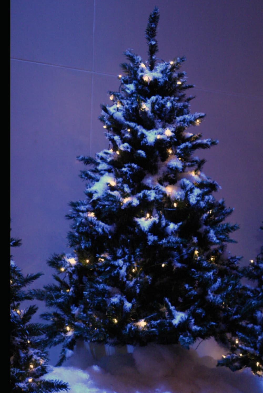 THE NIGHT BEFORE CHRISTMAS