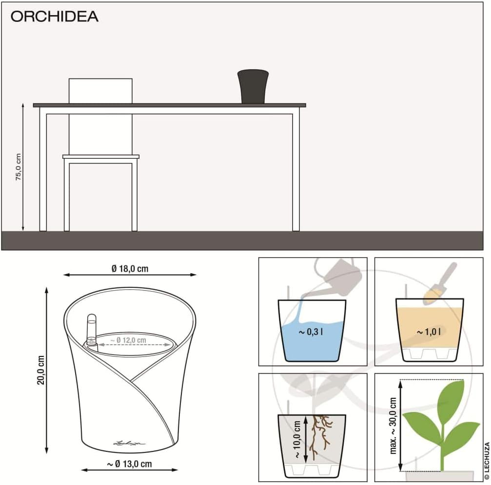 Lechuza 13961 ORCHIDEA Self-Watering Planter for Indoor and Outdoor Use, 7.2" x 7" x 7.7", Slate Matte