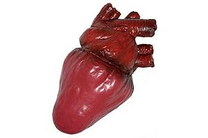 Beating Heart Halloween Prop, Foam Halloween Decorations