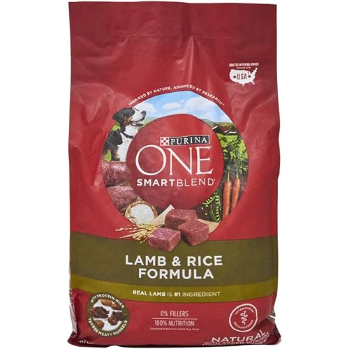 Purina O.N.E. Lamb & Rice Dog Food, 4 lb