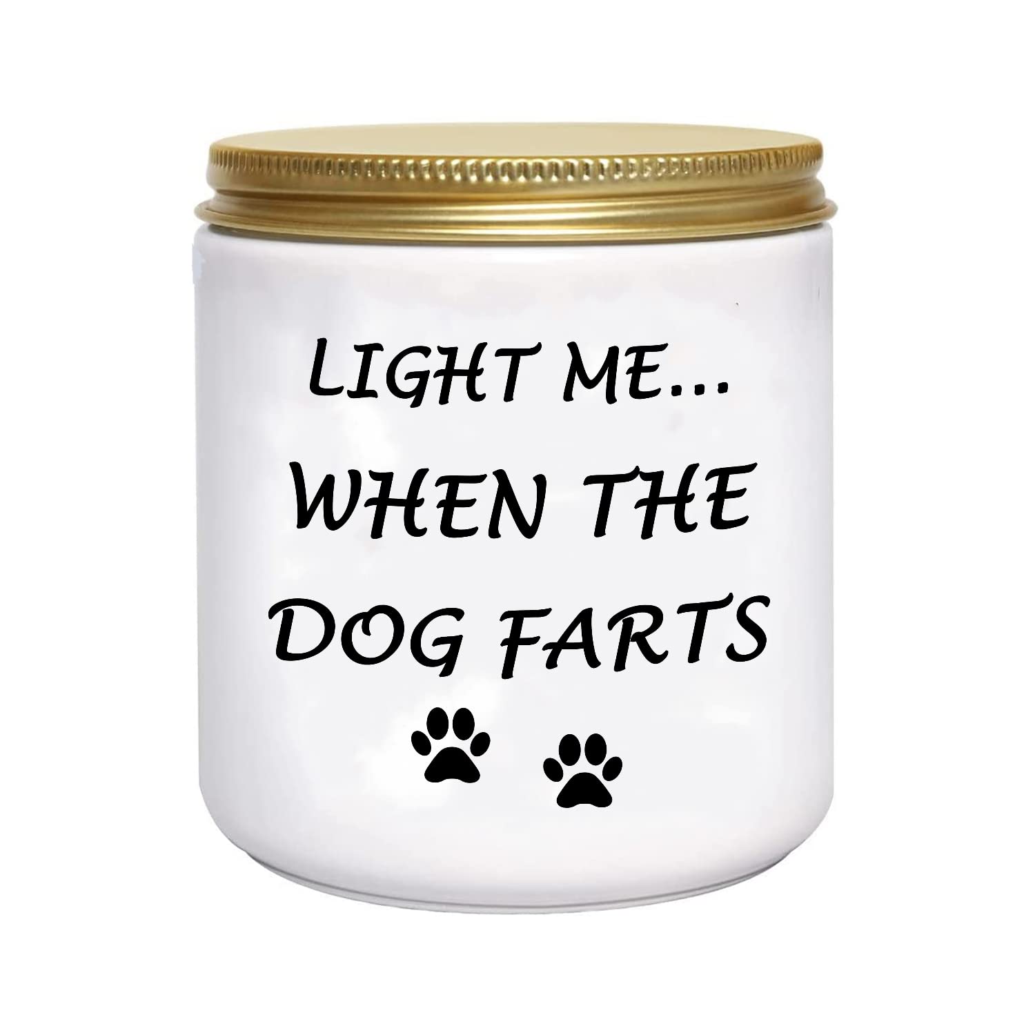 BFJLIFE Funny Gifts for Women Unique Dog Mom Dog Lovers Mothers Day Christmas Birthday Gifts for Sister Best