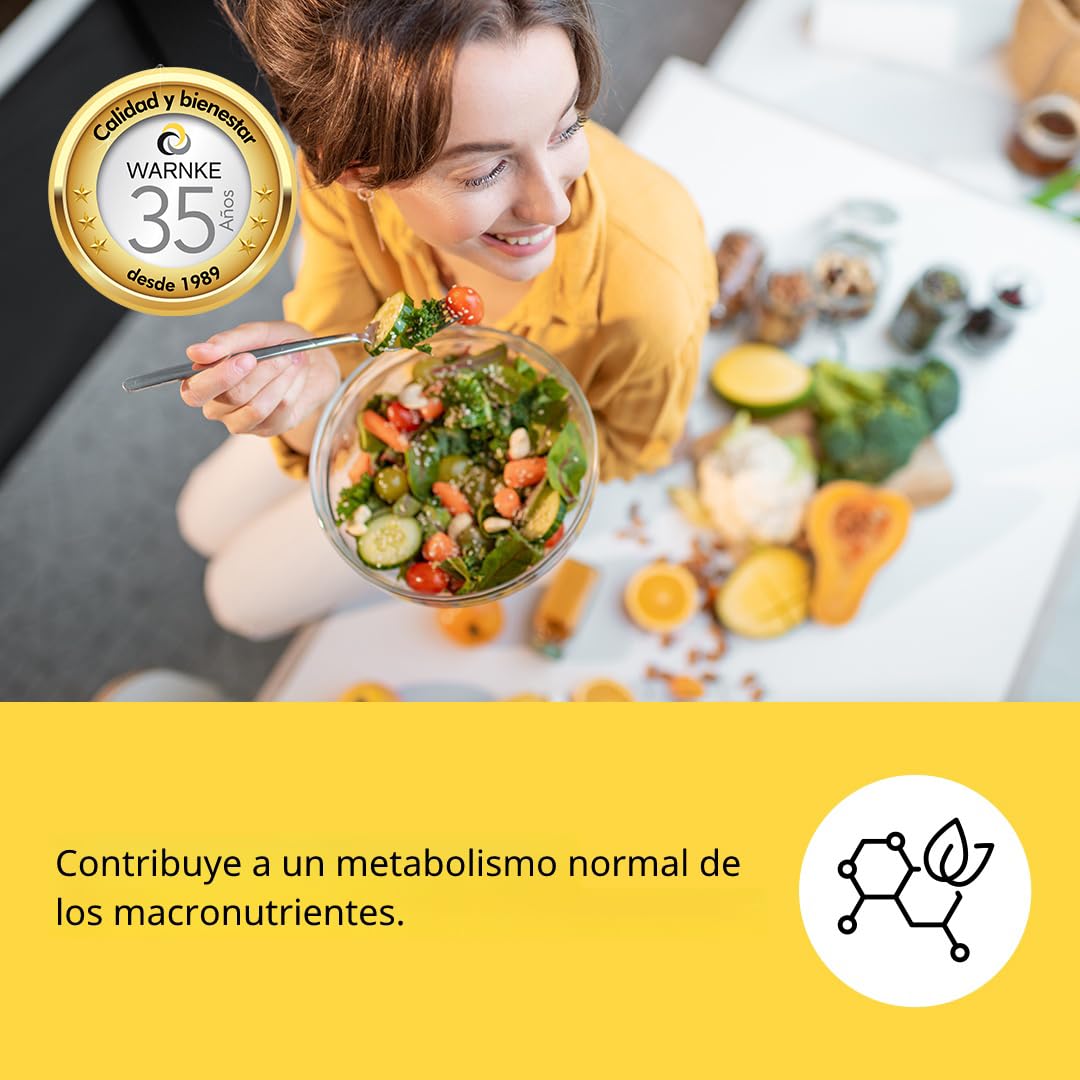 Extracto de semillas de calabaza 500 mg - 250 cápsulas - con vitamina E, zinc y selenio - alta dosis - envase grande | Warnke Vitalstoffe - Calidad de farmacia alemana