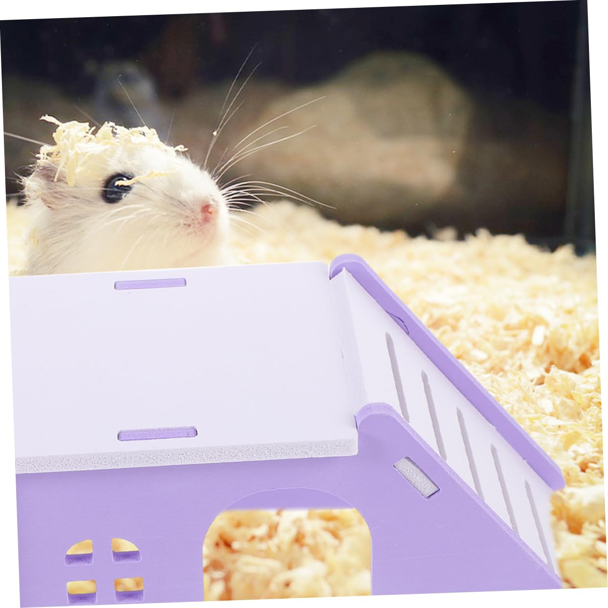HANABASS 10kawałki Dwuczęściowy Domek Dla Gryzoni Mała Chata Do Ukrycia Labirynt Dla Chomika i Innych Małych Zwierząt Estetyczny Dodatek Do Klatki Bezpieczny i Funkcjonalny