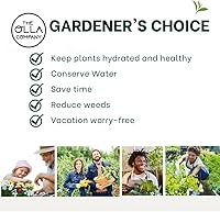 Vista 2 de Olla Mini Juego de 2 Olla de riego con tapa Sistema de riego Olla con ollas de riego de arcilla Terra Cotta Ollas de riego automático durante