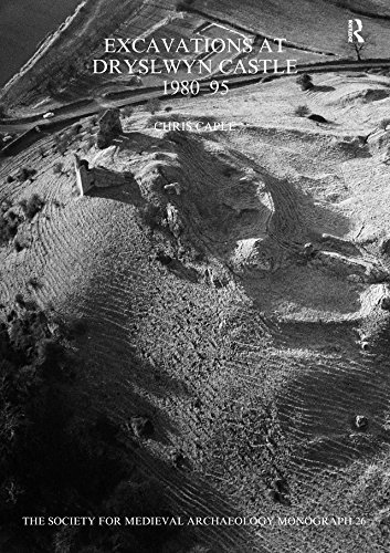Excavations at Dryslwyn Castle Ouvrage Académique de Prestige Société d'Archéologie Médiévale