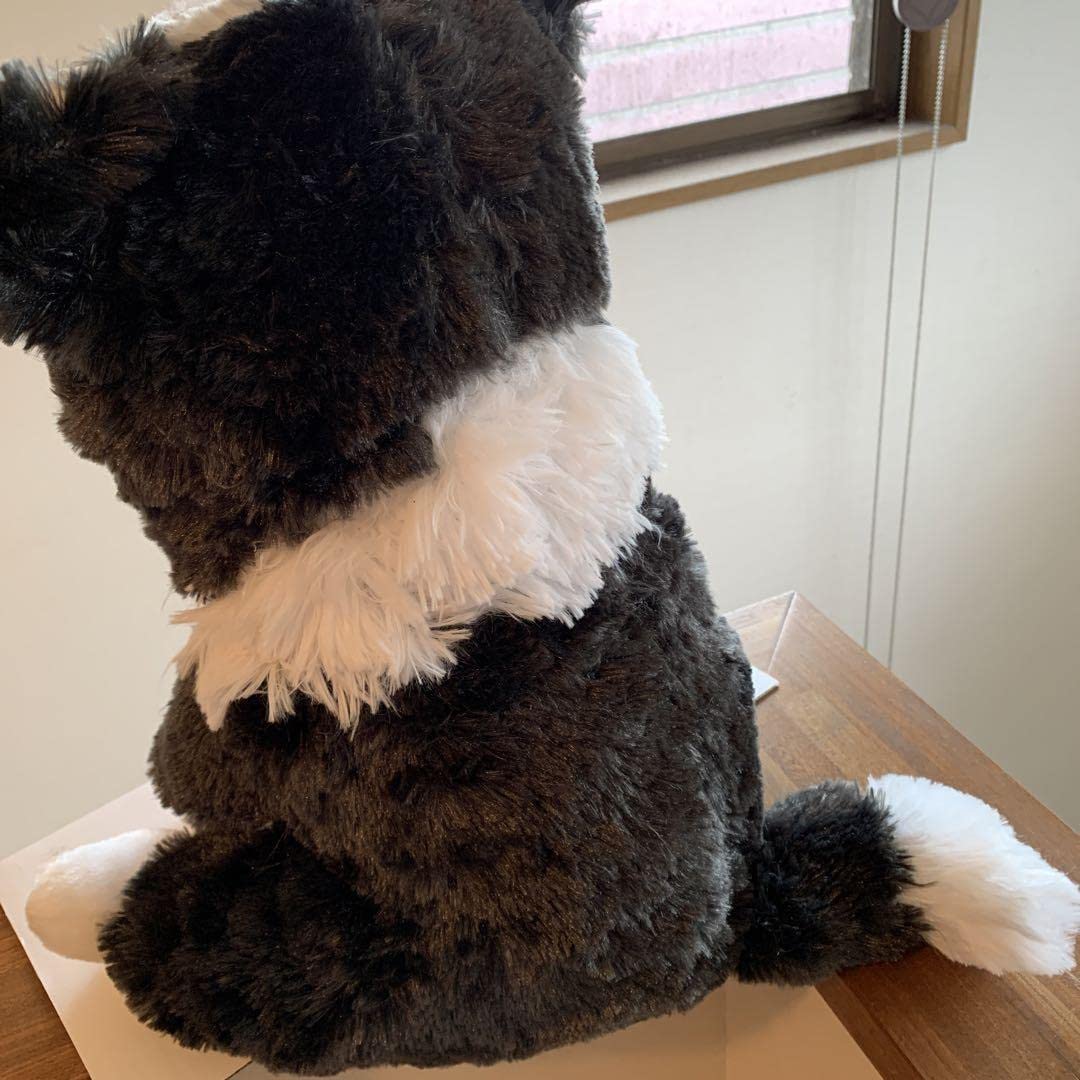 Amazon.co.jp: くったり ボーダーコリーぬいぐるみ BIG : おもちゃ
