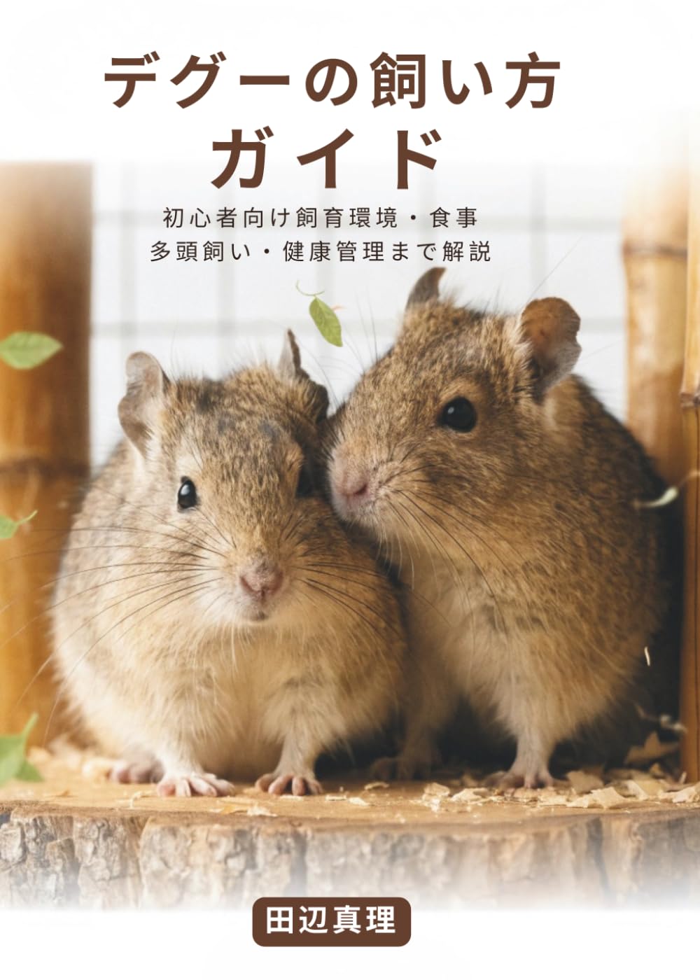 デグーの飼い方ガイド: 初心者向け飼育環境・食事・多頭飼い・健康管理まで解説