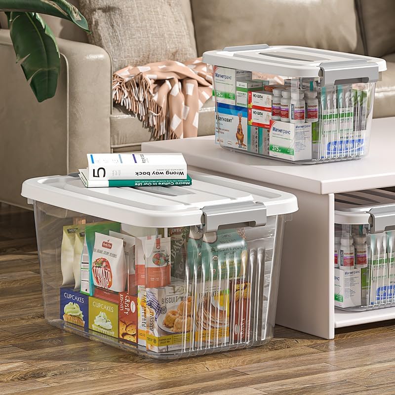 Image of Ash & Roh Plastic Storage Box /Bin /Container with Locking Lid - Sturdy and Versatile Home Organizer, Available in Multiple Size. (1, TRANSPARENT, COMBO SET)