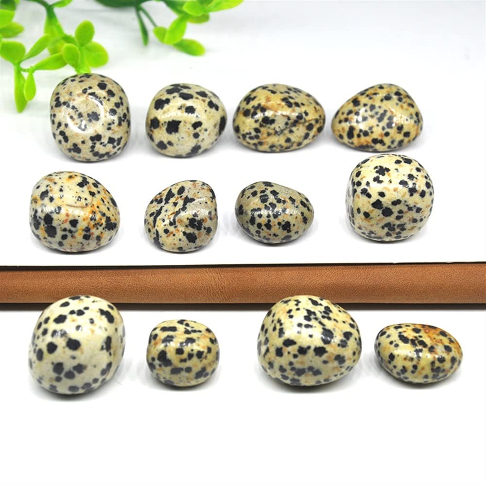 Amazon.co.jp: 自然の魔法 自然治癒クリスタルラウンドダルメシアンジャスパーバルクタンブルミネラルエネルギー幸運の石砂利標本家の装飾  (Color : 4, Size : 100g) : DIY・工具・ガーデン 瞑想の家 ナチュラルクリスタルダルメシアンジャスパーボールラウンド ...