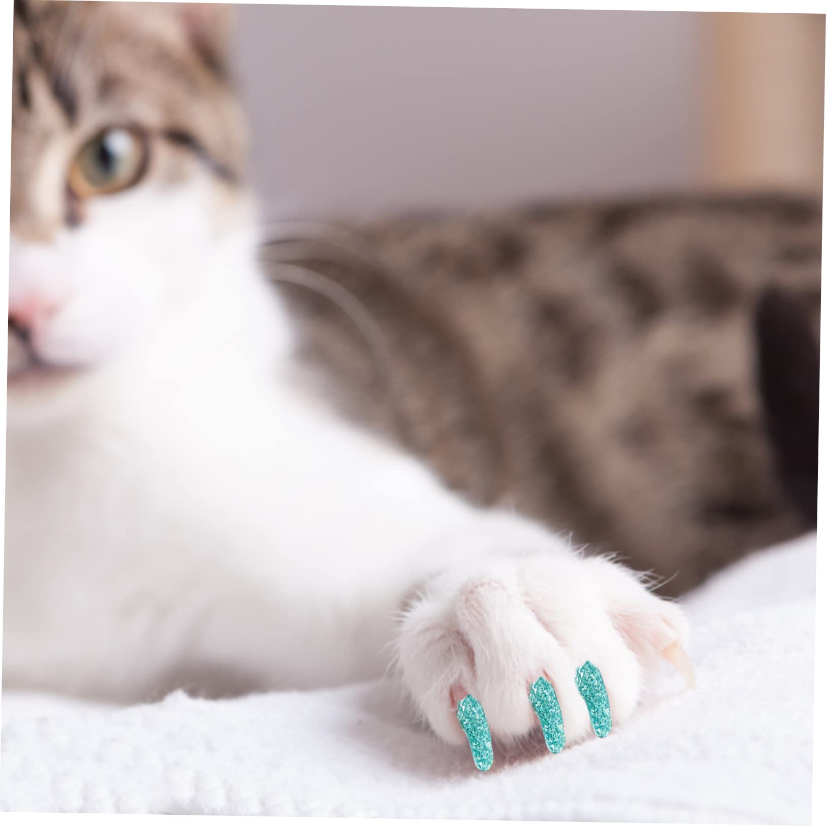 ABOOFAN 50 Juegos Kit De Uñas De Gato Cubiertas De Uñas De Gato Cubiertas De Garras Blandas Cubiertas De Garras De Gato para El Cuidado De Las Garras Clavo Gel De Sílice Suave