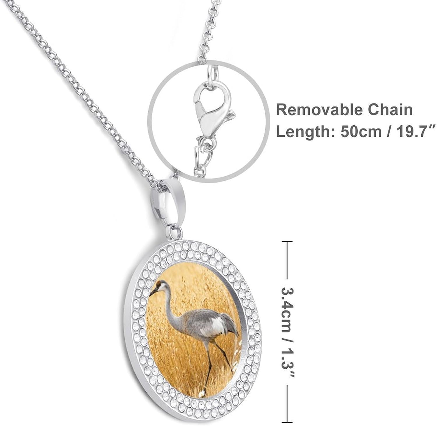 Sandhill Crane in Golden Oats Pendant Necklace for Women Men Diamond Circle Necklaces with 20 Inch Chain, Zinc Diamond Jewelry for Birthday Christmas Valentine's Day Gift image 2