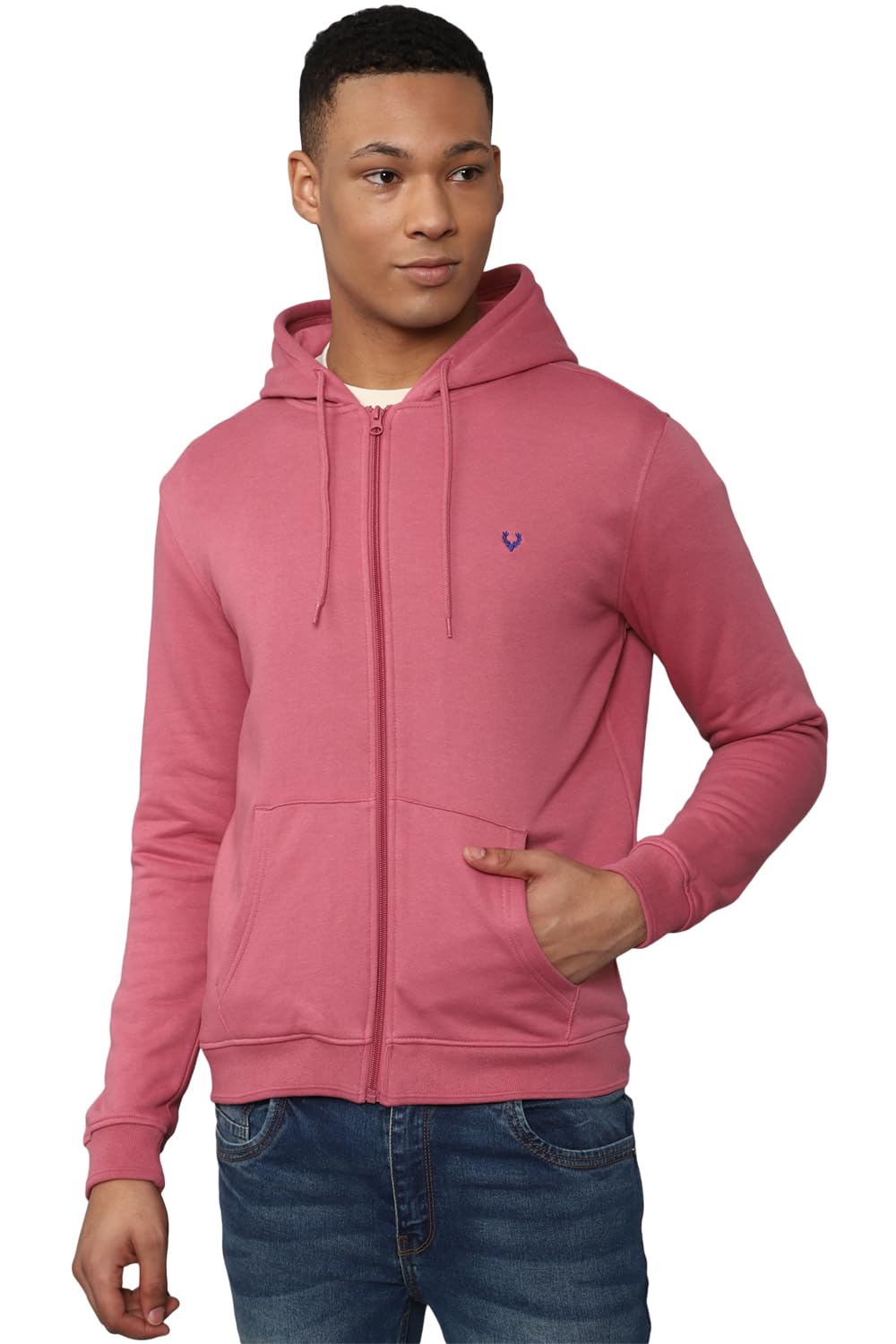 allen solly Allen SollyMen Sweatshirt-picture-37
