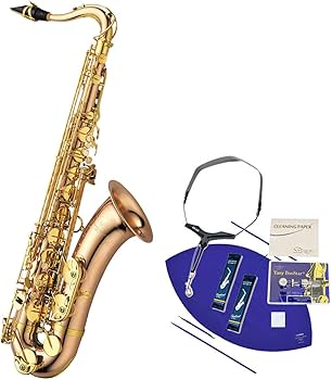 YANAGISAWA T-50 テナーサックス 231219t500_1054t1217_01.JPG