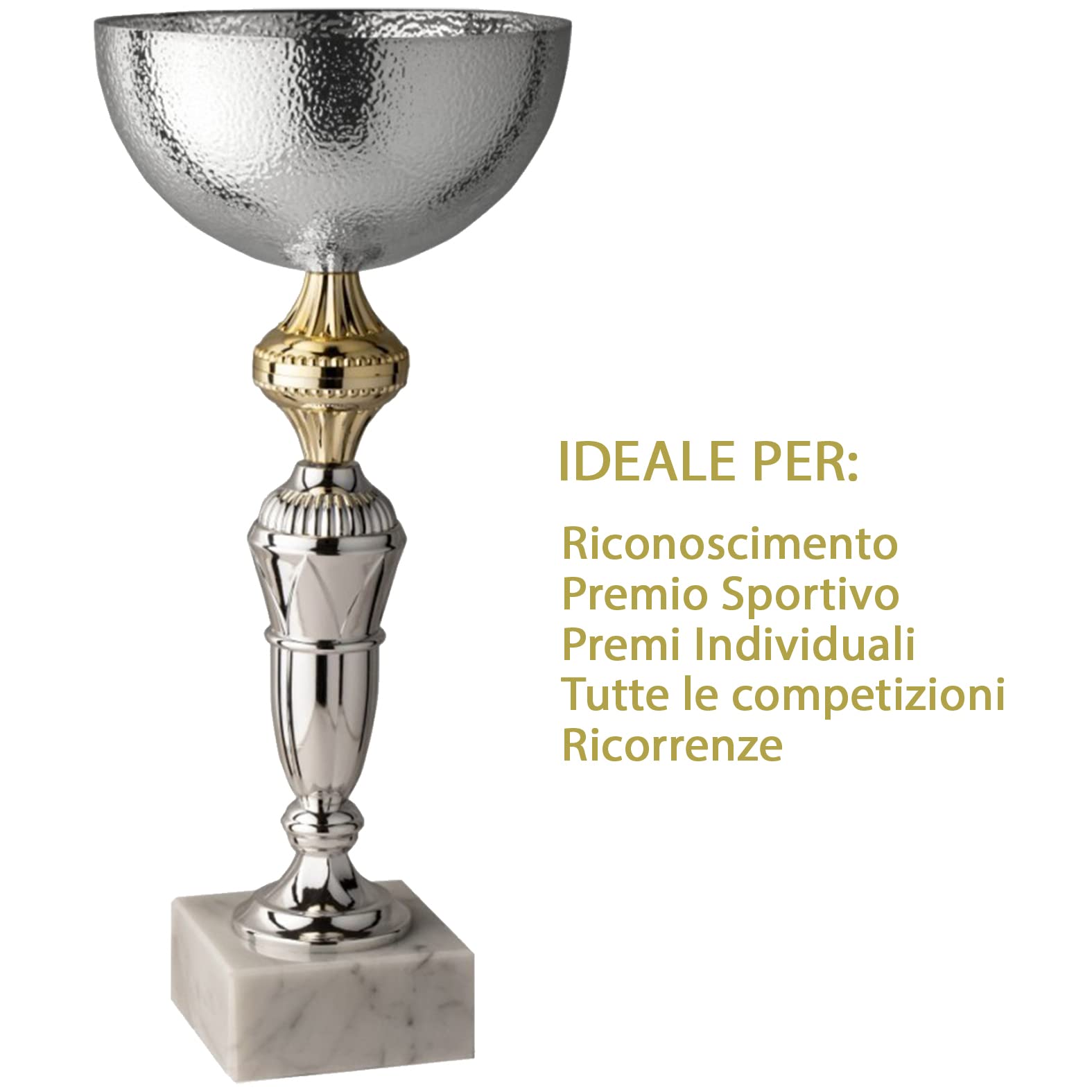 Premiazioni Personalizzate Coppe e Trofei Personalizzati con Targhetta Stampata Inclusa per Lo Sport, Calcio, Fantacalcio ed Eventi o Ricorrenze Varie Misure e Design