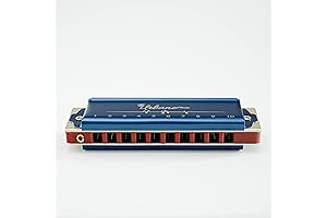 Harmonica Hohner Key of C 10 Holes Pocket Size Blues Harmonica Mouth Organ Case