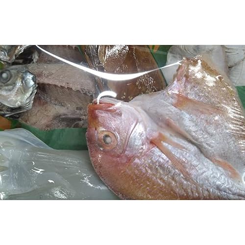 海の京都 橋立やまいち 旬の魚の一夜干し詰合わせ[ 一夜干し 桜干し ギフト ]