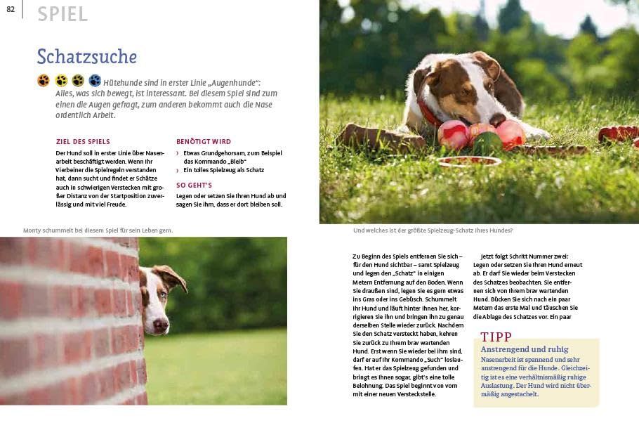 Spiele und Action für ausgeglichene Hütehunde: Border Collie, Australian Shepherd und Co. rassegerecht auslasten