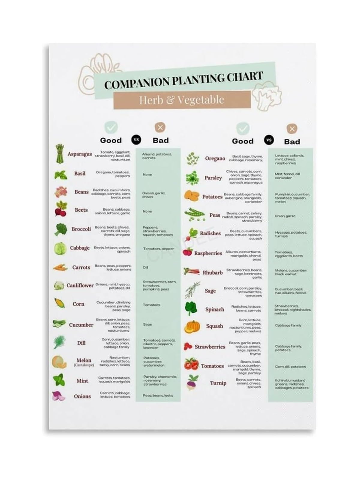NWPNLXEA Vegetable Gardening Chart Canvas Poster Seed Starting Guide Companion Planting Reference for Home Kitchen Decor Unframed,08X12inch(20X30cm)