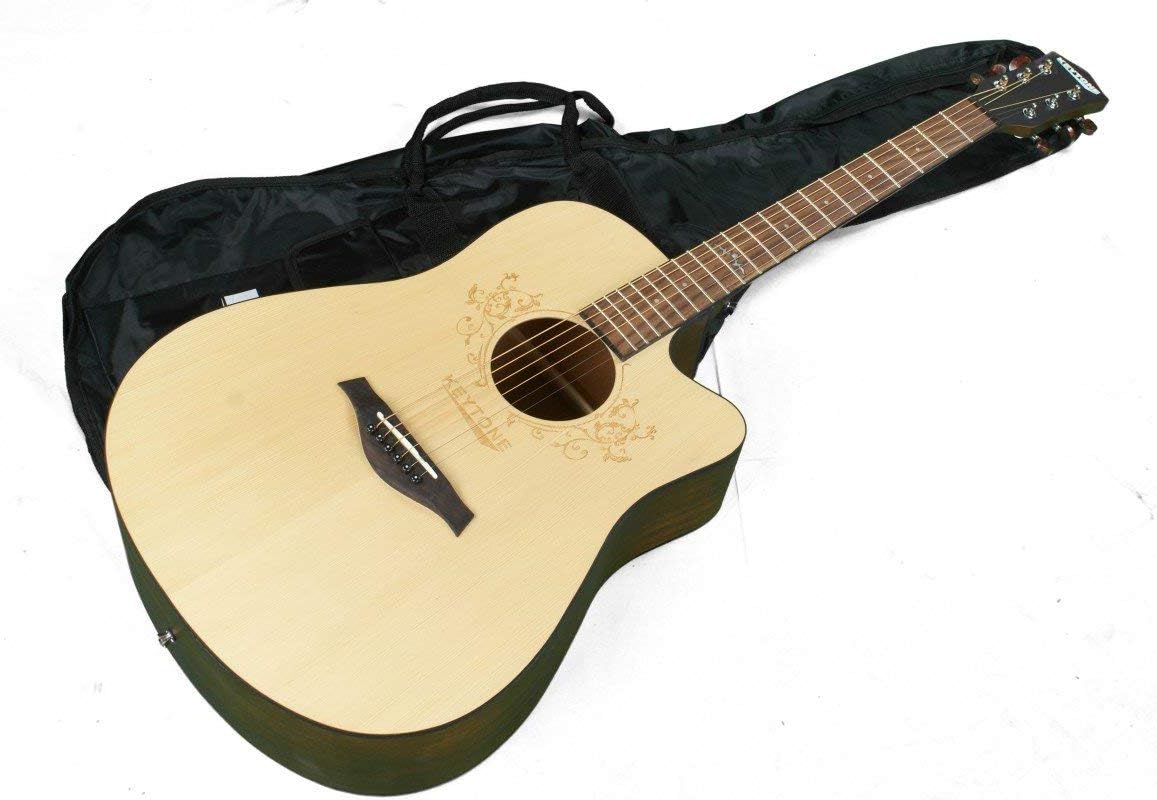 Keytone Dreadnought with Gigbag