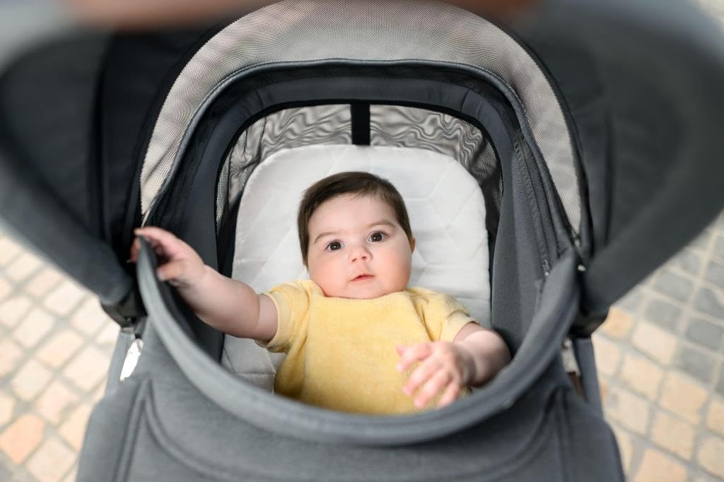 Maxi-Cosi Sense Navicella, spaziosa e confortevole, materasso memory foam traspirante, ClimaFlow, inclinazione SoothingSlope, sonno notturno, manico pelle vegana, Twillic Truffle