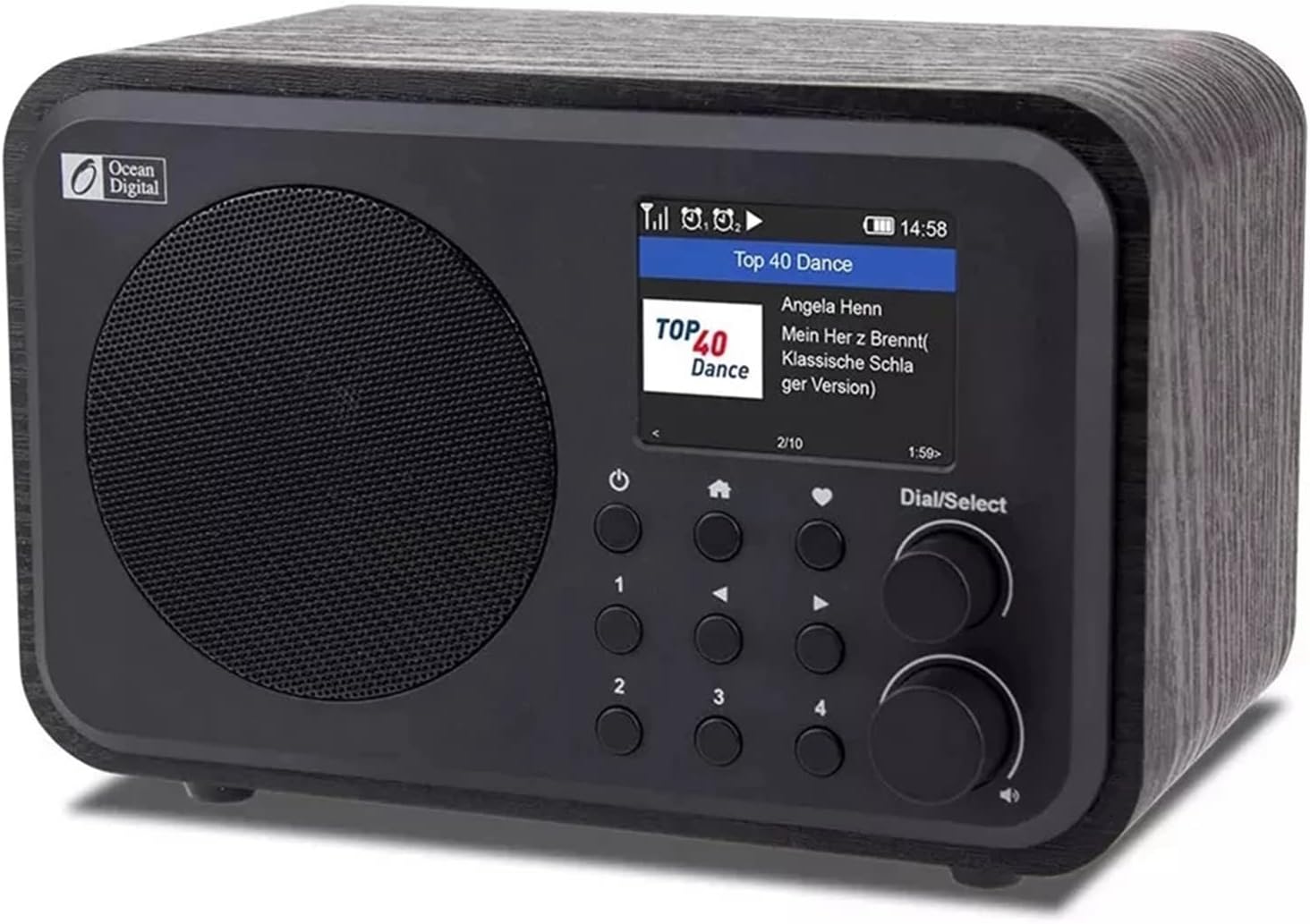 Personal Pocket DAB Radio,WiFi Radios Portable Digital Radio