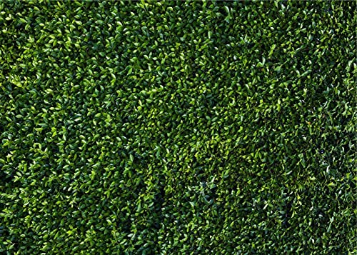 Fondo Fotográfico HQM 7x5 FT Verde Hojas 3D miniatura 7