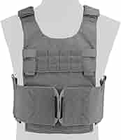 SPIRITUS SYSTEMS LV-119 プレートキャリア　付属品付き Amazon | WoSporT Spiritus Systemsタイプ LV/119プレート