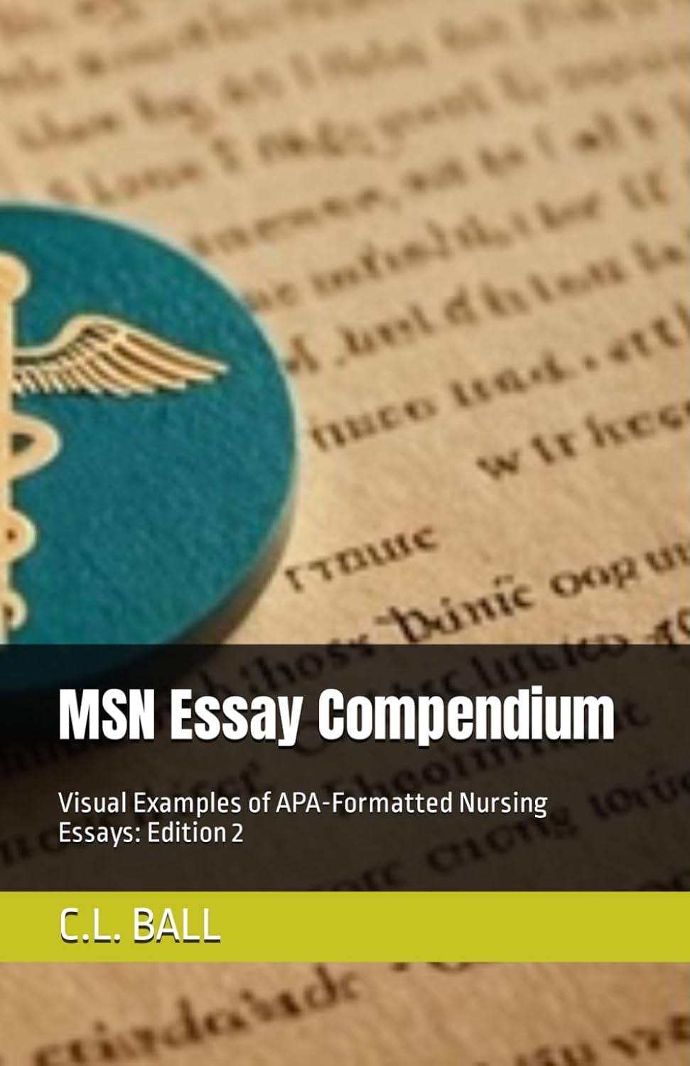 MSN Essay Compendium: Visual Examples of APA-Formatted Nursing Essays: Edition 2