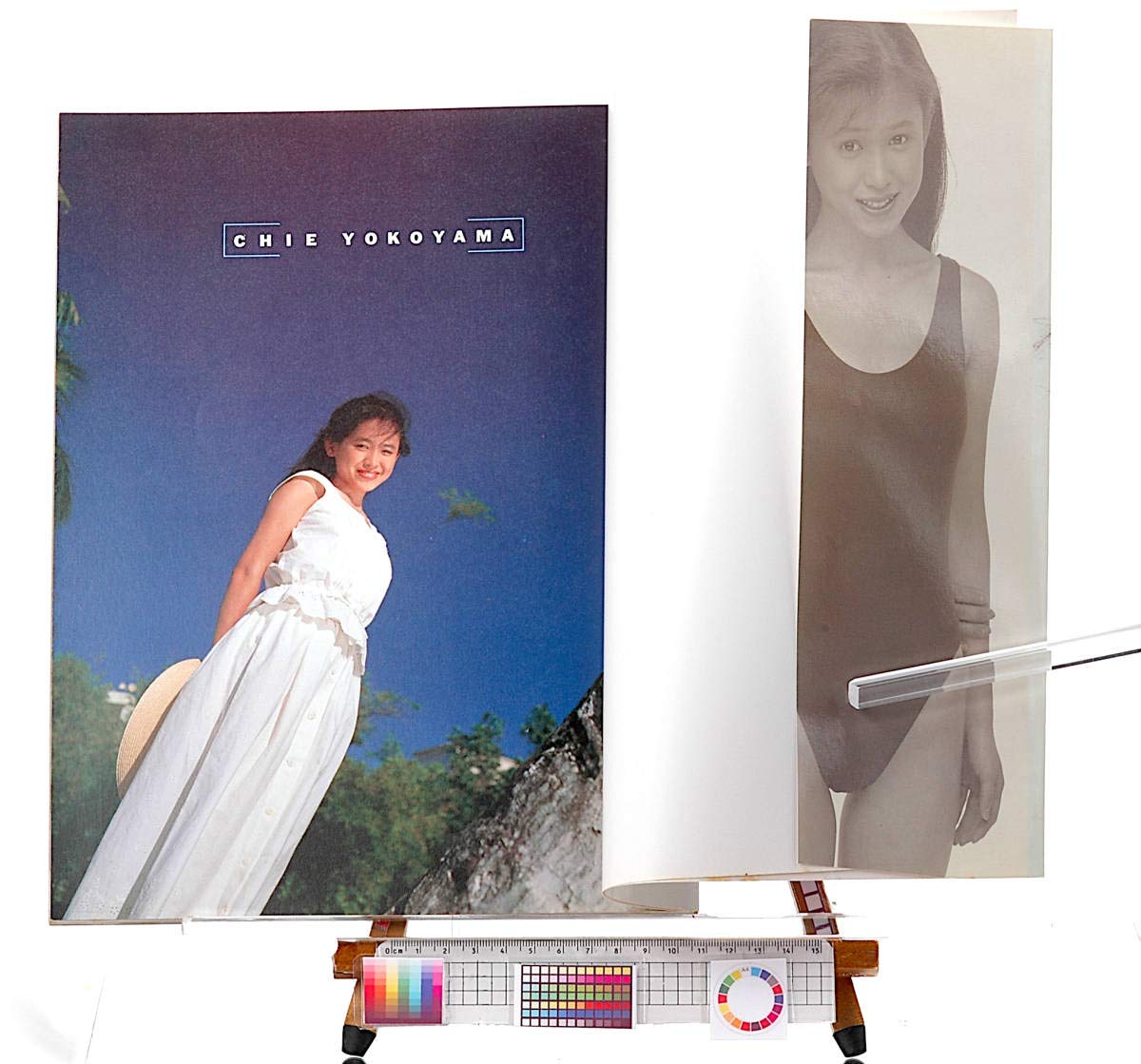 Amazon.co.jp: [New Item(with difficulty)] [Delivery Free]1991 CHIE