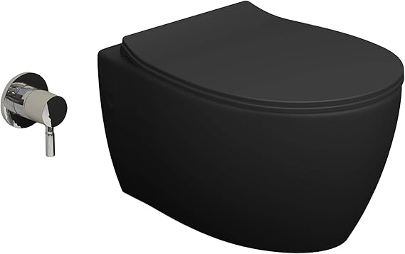 Aqua Bagno - Inodoro de ducha sin bordes, incluye asiento de inodoro, cerámica antracita mate, con función bidé