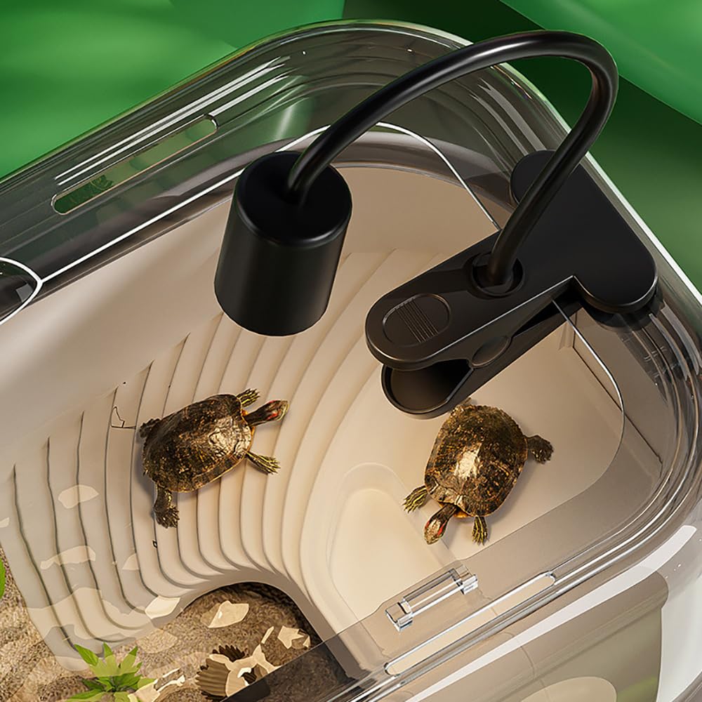 Hábitat Del Acuario De Tortugas, Kit De Tanque De Tortuga Transparente, Con Lámpara De Descanso + Filtro De 3 Capas, Cilindro Ecológico De Tortuga De Plataforma Grande, Para Pequeños Reptiles