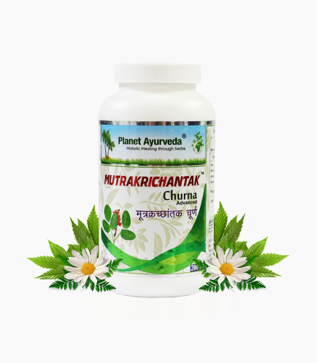 Mutrakrichantak Churna- Pack of Two