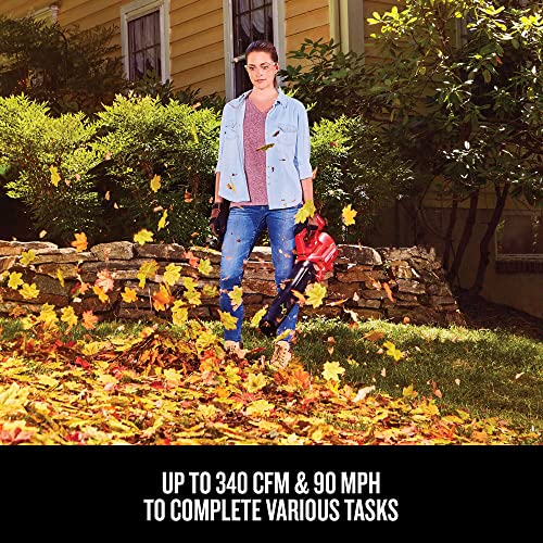 Image of CRAFTSMAN 20V MAX WEEDWACKER String Trimmer and Leaf Blower Combo Kit, Battery and Charger Included (CMCK197M1)