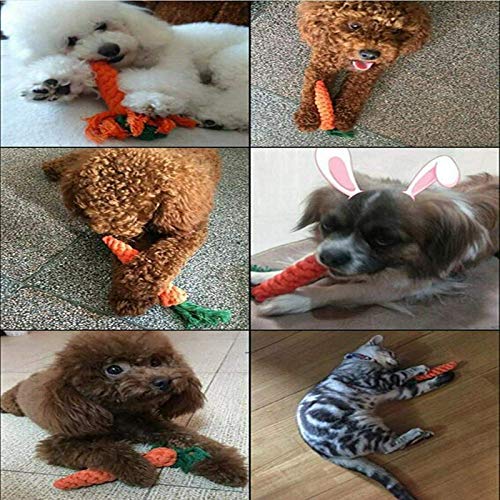 YUET 2 Pezzi Corda Intrecciata a Carota per Cani