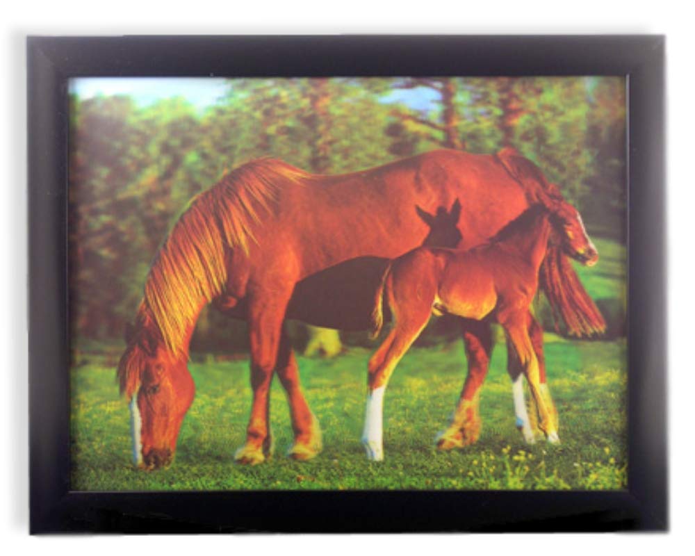 BANBERRY DESIGNS Horse 3D Picture - Black Framed Wall Art Decor - 3 Dimensional Holographic Picture of Horses
