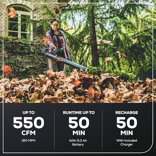 Image of Greenworks 60V Cordless Leaf Blower (550 CFM / 160 MPH) Variable Speed Brushless Backpack Blower for Fall Leaf Removal, Yard, Patio, Driveway Outdoor Cleaning, 5.0Ah Battery & 6A Charger Included
