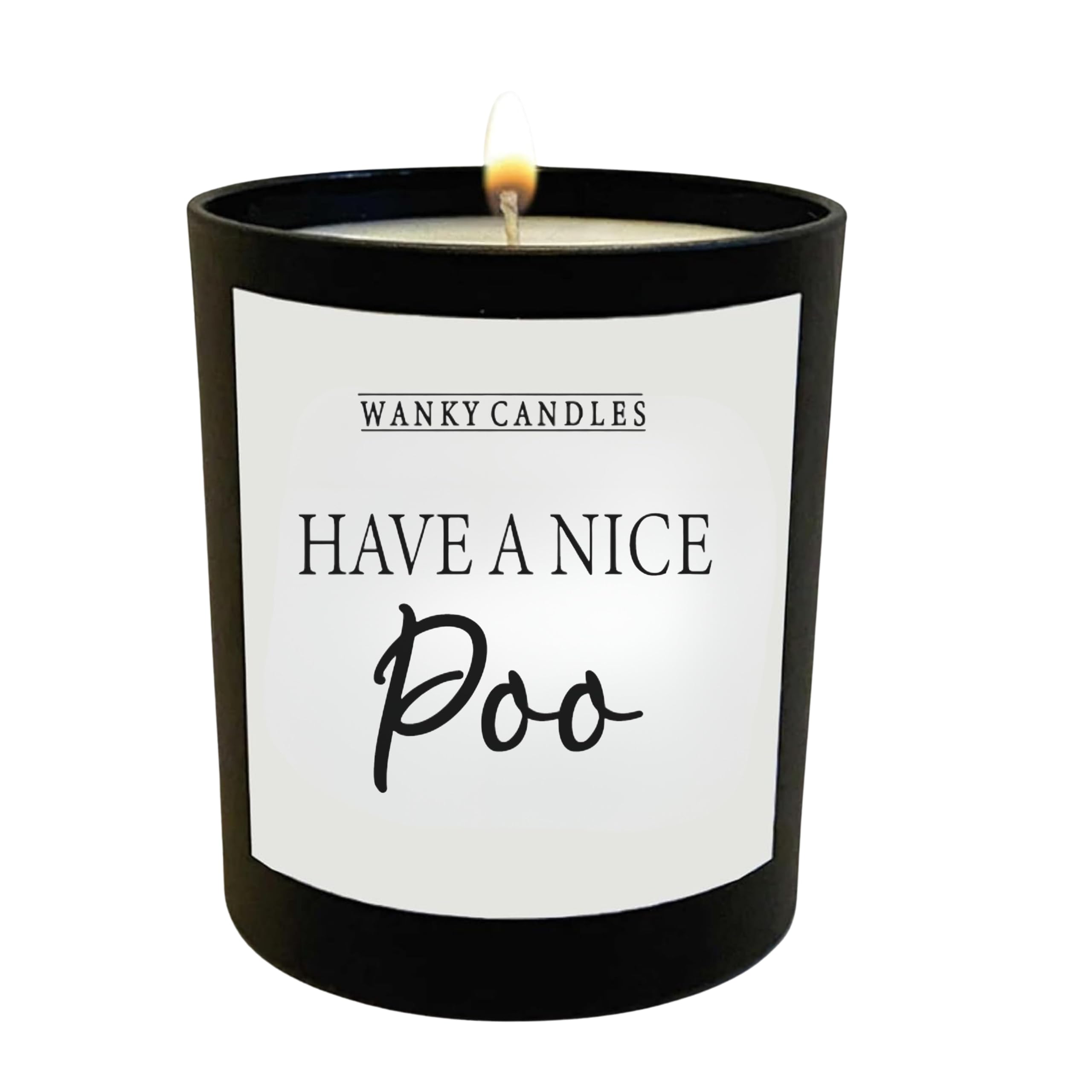 Funny Bathroom Candle Have A Nice Poo Rude Novelty Scented Candle Toilet Humour Gift for Friend Colleague Home Bathroom Decor