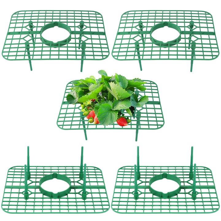 Qumenan 5 Pack Strawberry Plant Support Square Strawberry Supports for Garden Green Holder Plastic Stand with 4 Sturdy Legs Risers Growing Racks Frame