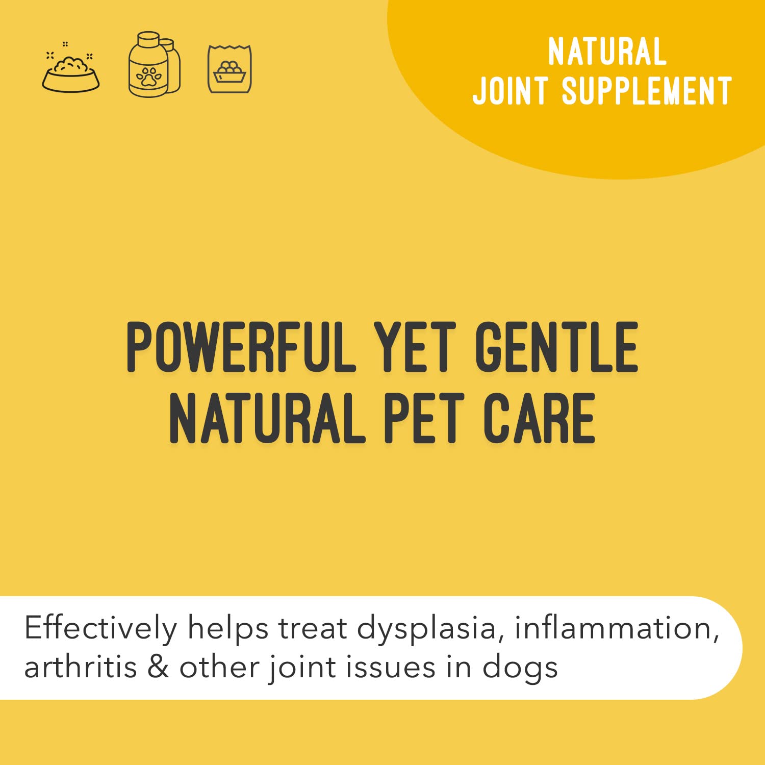 ArthriMAXX Gelenkergänzungsmittel für Hunde, flüssige Formel, entzündungshemmend, Glucosamin & Chondroitin, Linderung von Gelenkschmerzen bei Arthritis & Entzündungen
